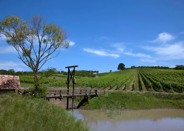 Stupnicki Dvori Winery Hotel